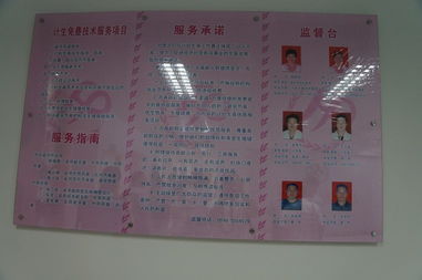 領先CMS建站服務商 專注研發，賦能高效建站